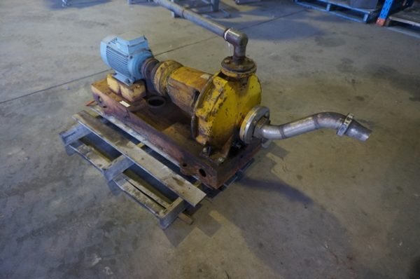 Pump Thompson Ss Rpm Mm Inlet Watts Meat Machinery