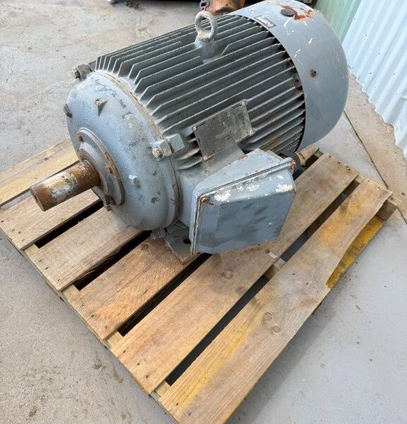 Motor ELC 55 Kw 1480 RPM